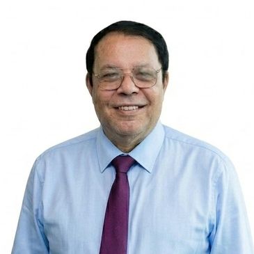 Magdy Girgis, Ph.D.