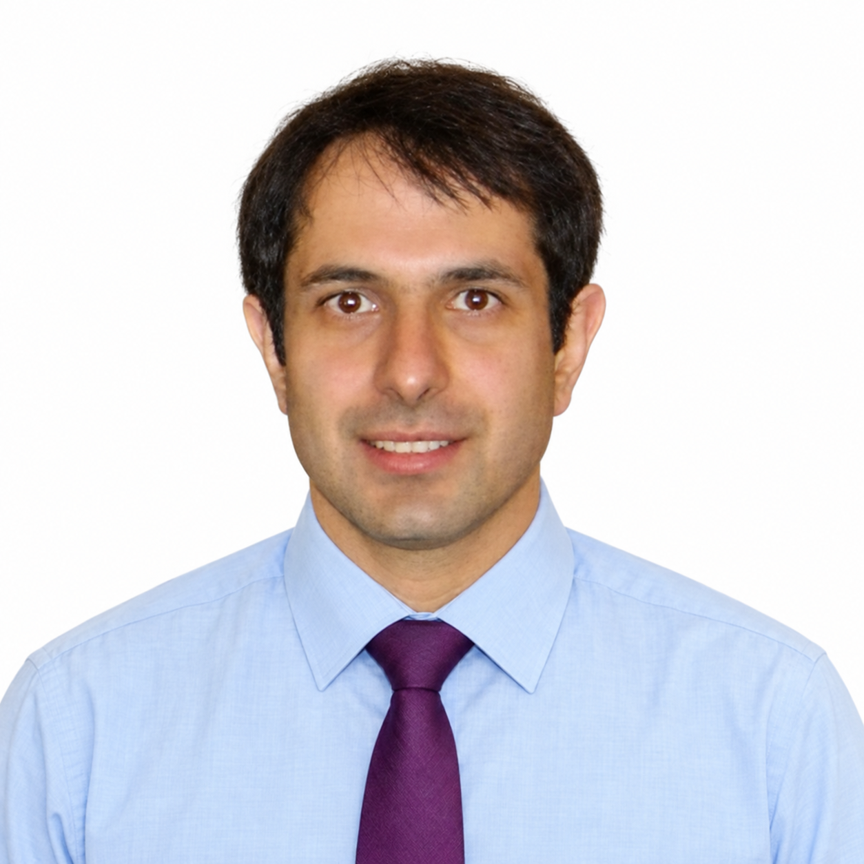 Sina Fardisi, Ph.D., P.Eng.